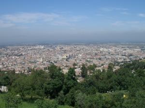 غابة الأرز بضواحي مدينة البليدة