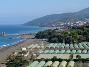 صورة شاملة لساحل  داموس