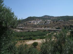 منظر لمدينة  مزغانة