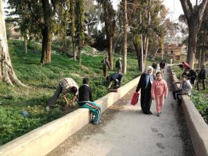 إعادة تشجير الحديقة