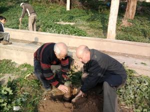 إعادة تشجير الحديقة