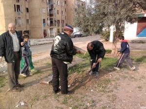 إعادة تشجير الحديقة