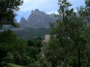 منظر جميل من غابة  ثالثة