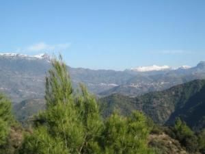 منظر جميل من غابة دراع قبيلة