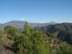 منظر جميل من غابة دراع قبيلة