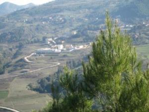 منظر جميل من غابة دراع قبيلة