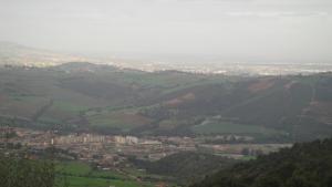 صورة شاملة لمدينة الخروبة