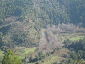 منظر لغابة دراع قبيلة