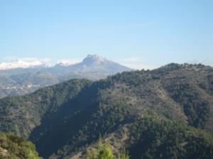 منظر لغابة دراع قبيلة