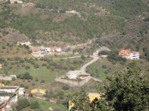 أشجار غابة دراع قبيلة