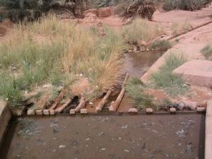 Irrigation d'une Oasis à Adrar