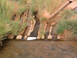 Irrigation d'une Oasis à Adrar