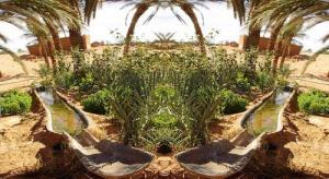 Montage de photos d'une Oasis à Adrar