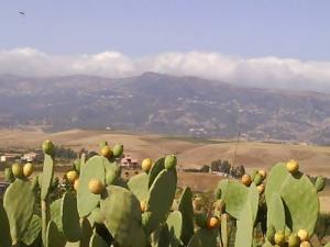 منظر طبيعي من ولاية أدرار