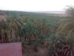 Hotel Gourara à Timimoun (wilaya d'Adrar)