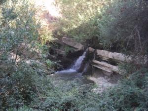 Thamdha el kefla à Tizi ouzou