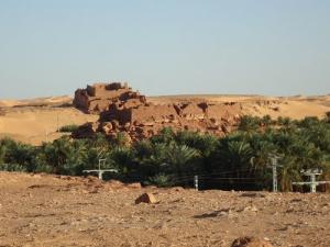 Oasis dans la région de Beni Aissi dans la commune de Ksar Kaddour (Wilaya d'Adrar)
