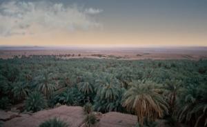 La Grande Palmeraie de Timimoun (Wilaya d'Adrar)