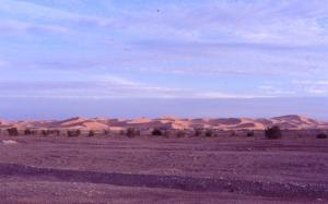 Oasis Rouge à  Timimoun (Wilaya d'Adrar)