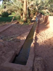 Irrigation d'oasis à Timimoun (Wilaya d'Adrar)