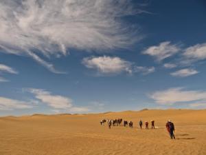 Le vaste Sahara d'Adrar