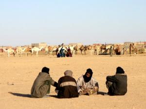 Souk El Méharis (Wilaya d'Adrar)