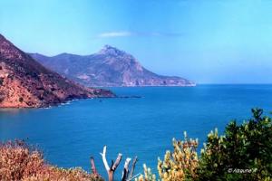 Boucheral  cap de S/Mérouane (Wilaya de Chlef)