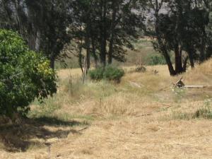 Région de Oued Chlef