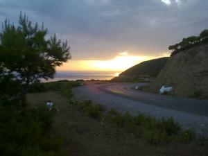 Route de Damous (à la sortie de la wilya de Chlef)