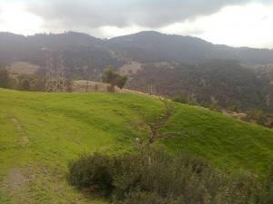 Printemps à Lazharia (Wilaya de Chlef)