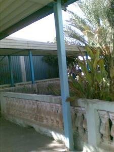 Institut des Sports à Chlef