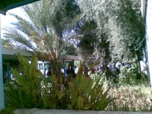 Institut des Sports à Chlef