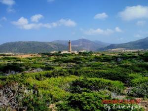 Phare de colombie dans la Commune  El Marsa