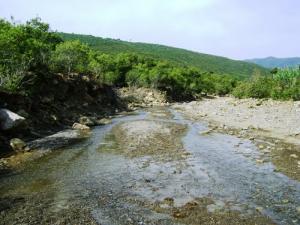 Rivière à Beni Haoua