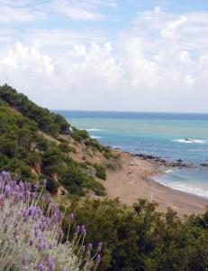 Beni Haoua  la  plage côté ouest