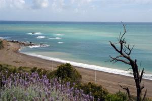 Beni Haoua  la plage