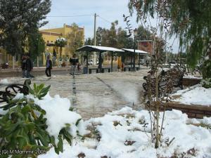 Laghouat sous la neige 2005