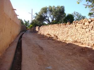 Jardin de Ain Madhi Laghouat