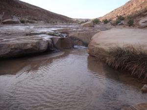 ري الواحات بولاية الأغواط