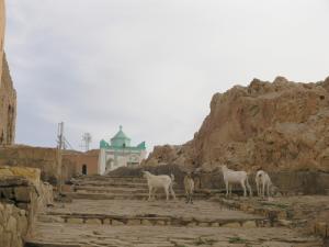 Vers le fort Morand (Wilaya de Laghouat)
