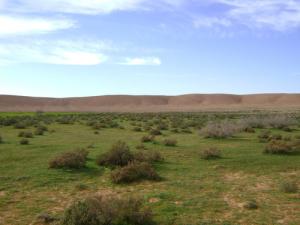 Vastes étendues aux alentours de Laghouat