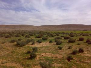 Cratère Maadna (Wilaya de Laghouat)