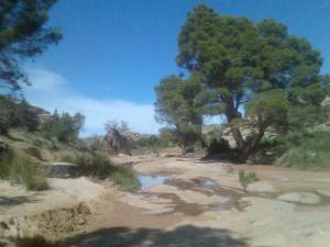 Vue sur Oued Berriche dans la commune d'El Ghicha