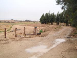 La région de Gnefid sous la pluie