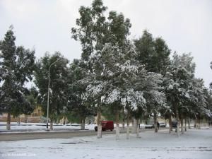 Laghouat sous la neige