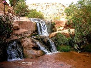 Les cascades de Taouiala (Wilaya de Laghouat)