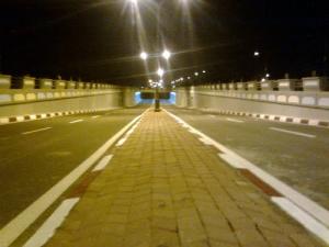 route nationale 1(Wilaya de Laghouat)