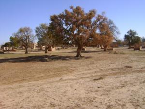 Périphérie de Hassi Dellaa