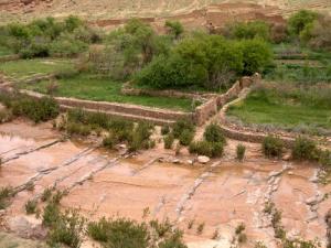 Les abords de l?oued (Wilaya de Laghouat)