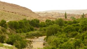 Les parcelles cultivables d'El Ghicha (Wilaya de Laghouat)